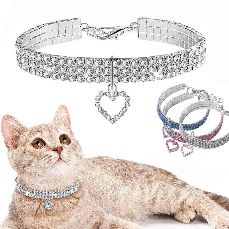 Bright Rhinestone - Female Cat/Kitten Collar