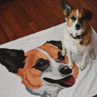 Custom Plush Blanket - (With your photo)